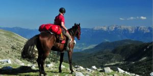 Horse Riding in Andorra, Kokono Rentals