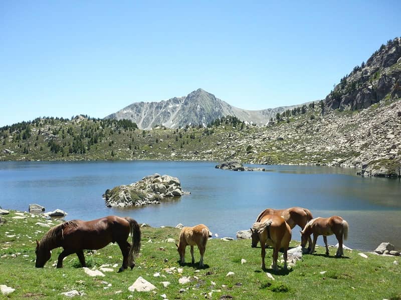 Estanque de Montmalus, Lakes Andorra