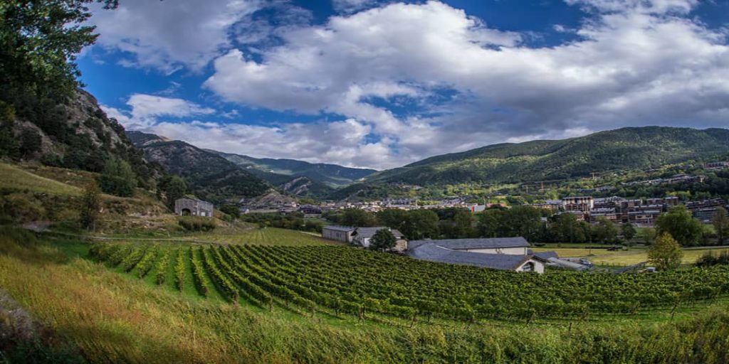 Vineyards of Andorra