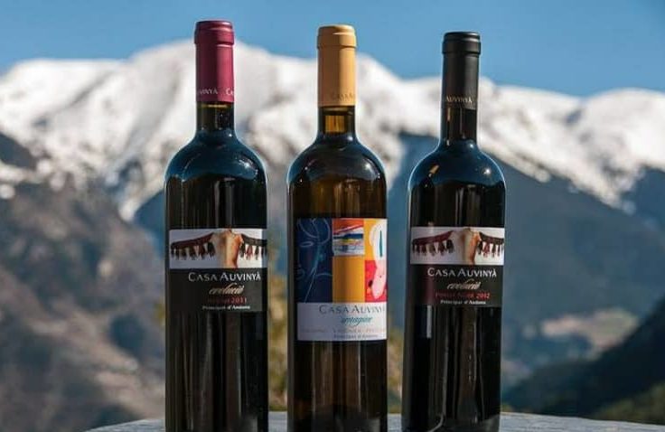 Bodega de vino Casa Auvinya Andorra